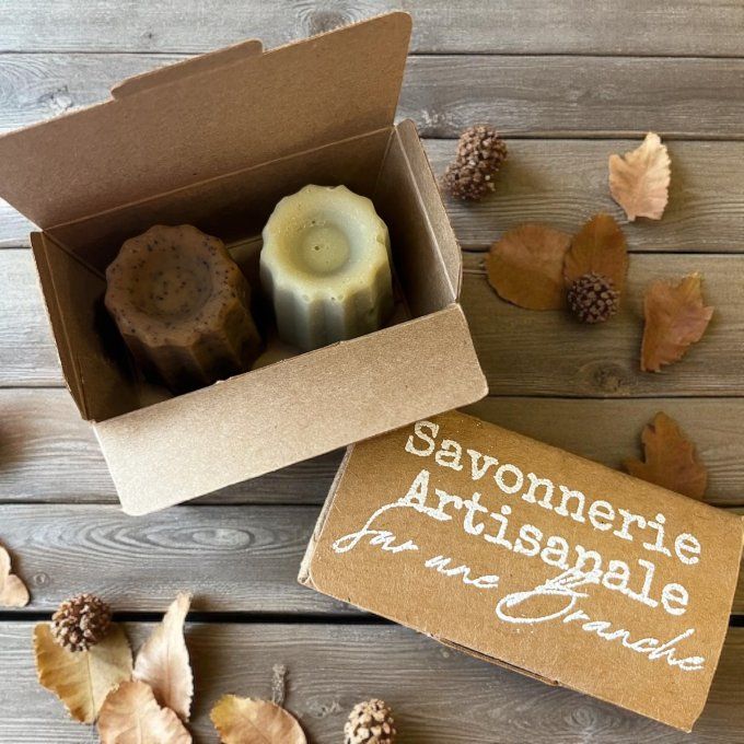 Coffret en carton kraft avec deux savons cannelés artisanaux Sur une Branche, mis en scène avec feui
