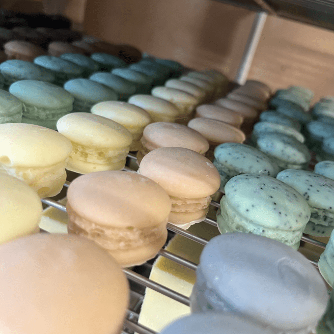 Savons macarons artisanaux en cours de séchage après saponification à froid