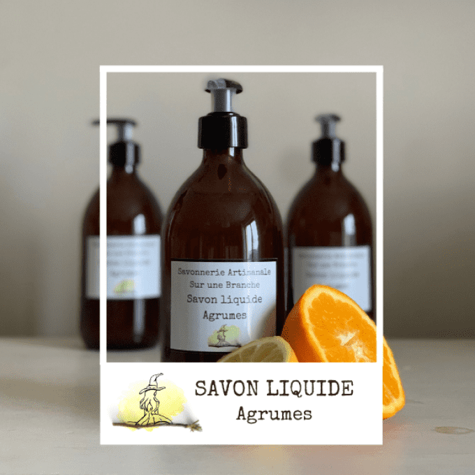 Savon Liquide Agrumes 500g