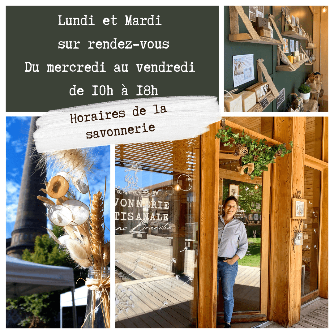 montage photo de la savonnerie artisanale sur une branche vu de l'extérieur et à l'intérieur