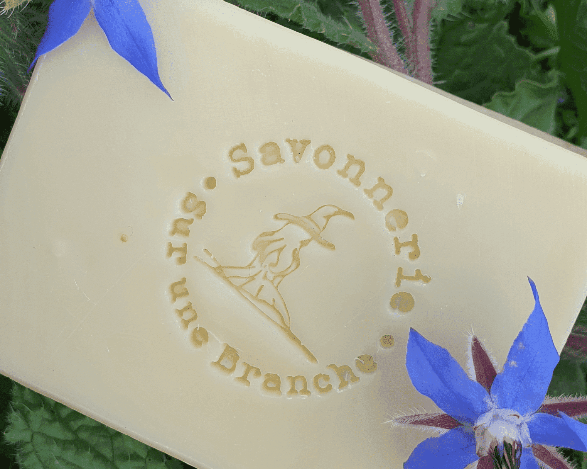 "Savon surgras artisanal estampillé 'Savonnerie Sur une Branche', photographié avec des fleurs de bourrache" />